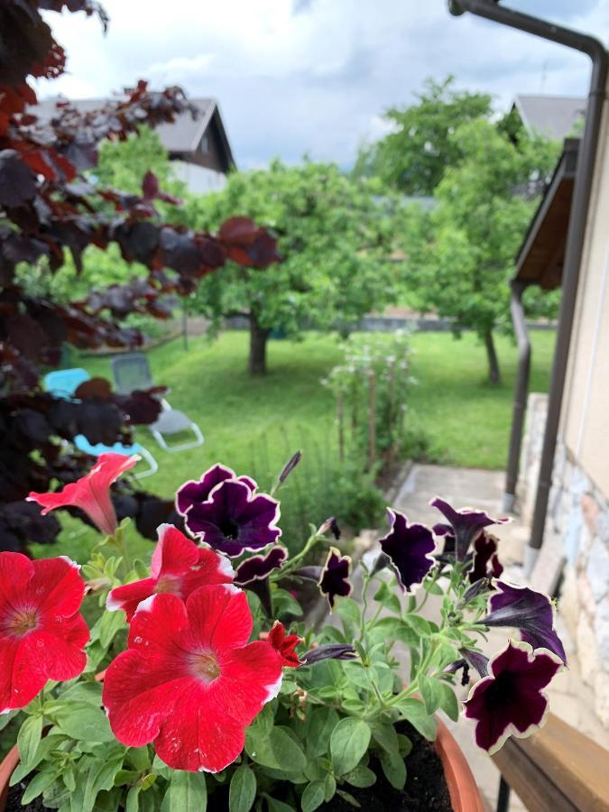 House Amalia Villa Bled Exterior photo